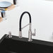 Pvd Steel - BLANCO Empressa Semi-Pro Pull-Down Dual-Spray Kitchen Faucet