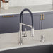 Pvd Steel - BLANCO Empressa Semi-Pro Pull-Down Dual-Spray Kitchen Faucet