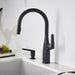 Matte Black - BLANCO Rivana High-Arc Pull-Down Dual-Spray Kitchen Faucet