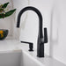 Matte Black - BLANCO Rivana Pull-Down Bar Faucet