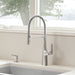 Pvd Steel - BLANCO Rivana Semi-Pro Pull-Down Dual-Spray Kitchen Faucet