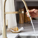 Satin Gold - BLANCO Rivana Semi-Pro Pull-Down Dual-Spray Kitchen Faucet