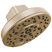 H2OKINETIC Round Multi-Function Showerhead
