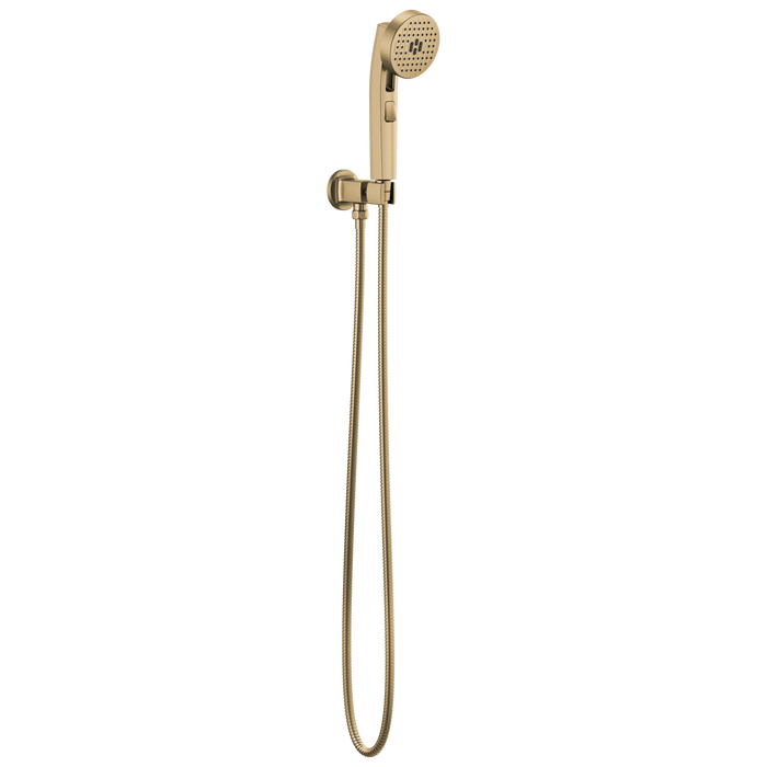 Multifunction Wall Mount Handshower