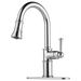Brizo Artesso 63025LF Single Handle Pull-Down Kitchen Faucet