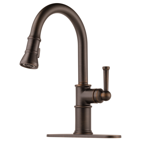 Brizo Artesso 63025LF Single Handle Pull-Down Kitchen Faucet