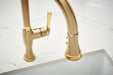 Brizo The Tulham Kitchen Collection by Brizo: Pull-Down Kitchen Faucet