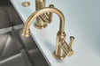 Brizo Rook: Pull-Down Faucet