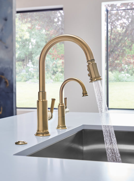 Brizo No Brand Other: Air Switch with Dual Outlet