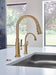 Brizo No Brand Other: Air Switch with Dual Outlet