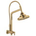 Brizo Essential Shower 81376 10 7/16" Classic Slide Bar Shower Arm And Flange