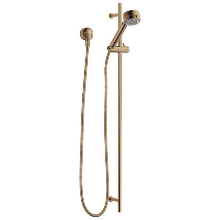 BRIZO European:85521 Multi-Function Slide Bar Hand Shower