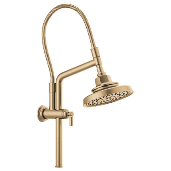 Brizo Invari:87476 H2OKinetic Round Multi-Function Showerhead