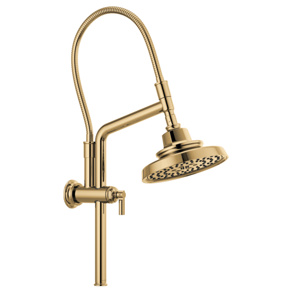 Brizo Invari 87476 H2OKINETIC Round Multi-Function Showerhead