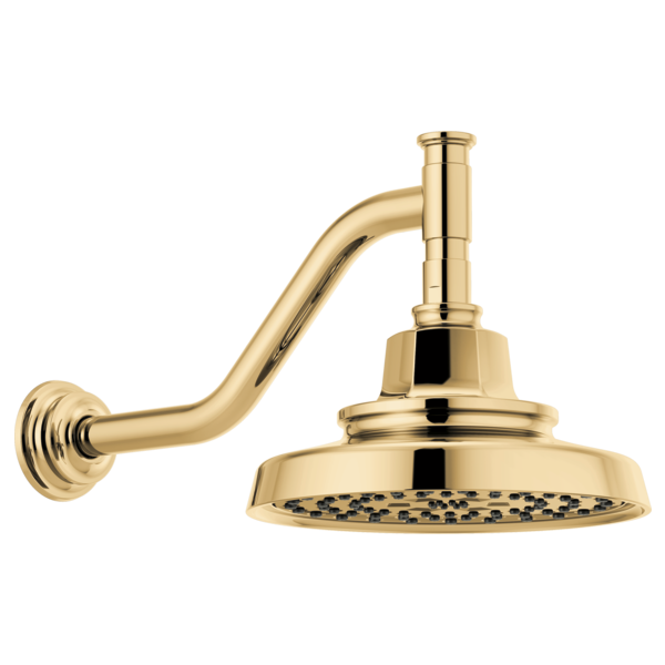Brizo Invari 87476 H2OKINETIC Round Multi-Function Showerhead