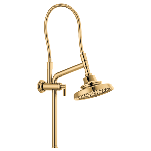 Brizo Invari 87476 H2OKINETIC Round Multi-Function Showerhead