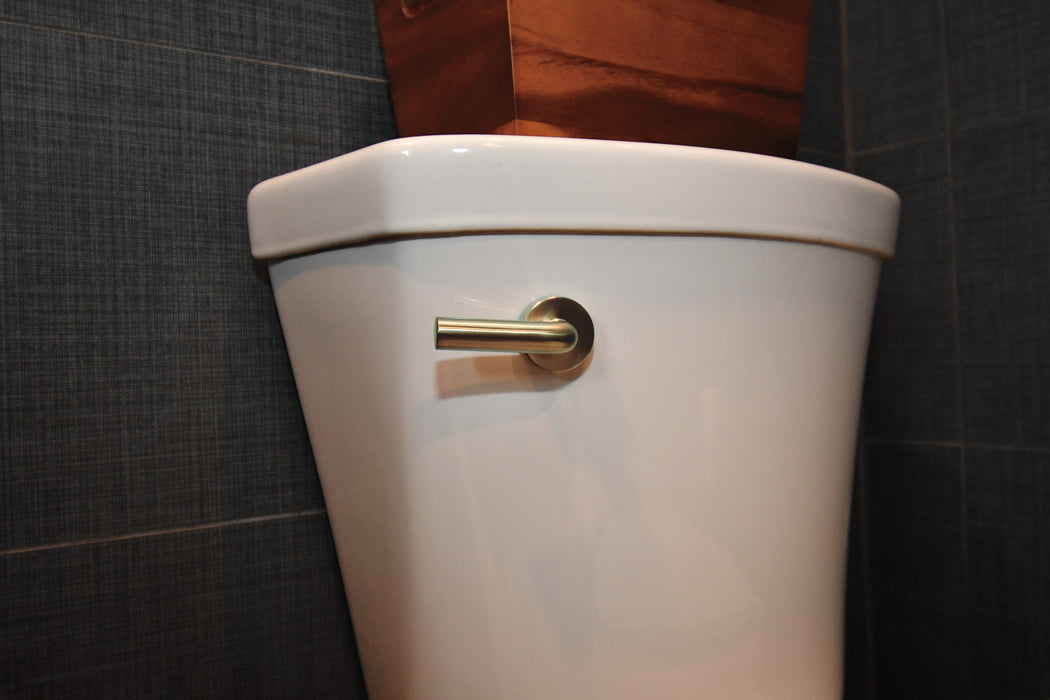 Brizo Litze 696335 Universal Flush Lever