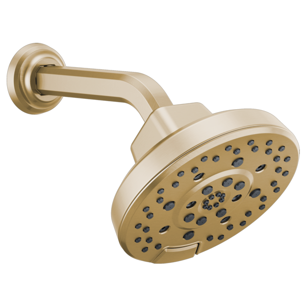 Brizo Levoir: H2OKinetic Round Multi-Function Showerhead