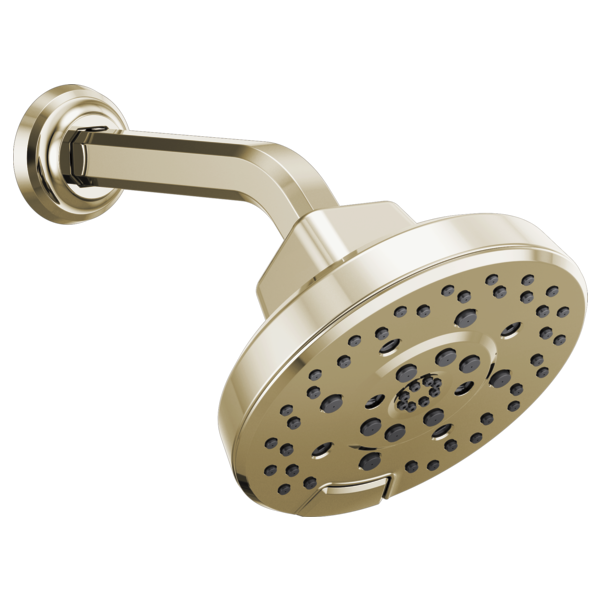 Brizo Levoir 87498 H2OKINETIC Round Multi-Function Showerhead