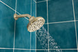 Brizo Levoir 87498 H2OKINETIC Round Multi-Function Showerhead