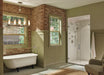 Brizo Baliza:85810 Multifunction Wall Mount Handshower