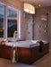 Brizo Virage 85830 Single-Function Wall Mount Hand Shower