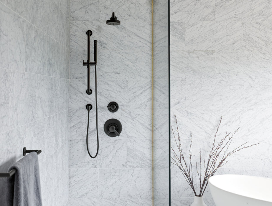 Brizo Odin:692475 24" Towel Bar