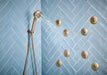 Brizo Levoir: H2OKinetic Multi-Function Wall Mount Handshower