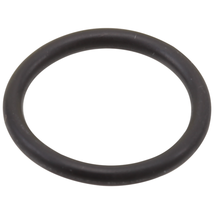 Brizo RP31689 O-Rings