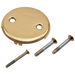 Brizo RP43153PG Toe-Operated Overflow Plate With Screws
