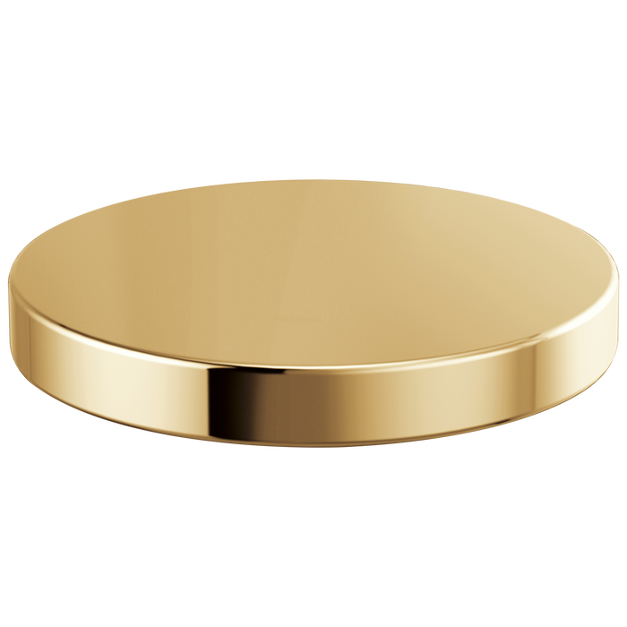 Brizo Rook RP90934PG Hole Cover