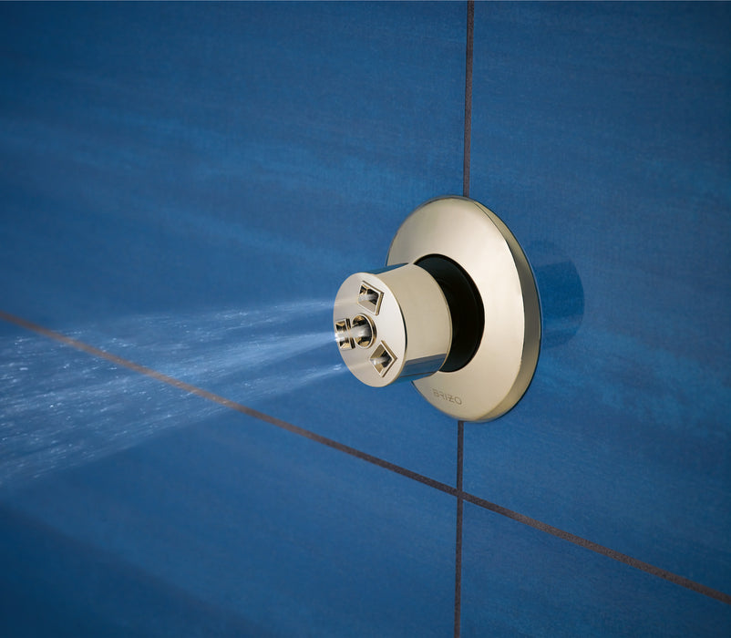 Brizo SH84101 Hydrachoice H20Kinetic Massaging Spray Head