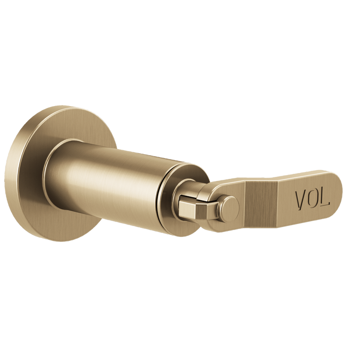 Brizo Litze:T66634 Sensori Volume Control Trim - Industrial Lever