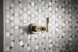 Brizo Litze:T66634 Sensori Volume Control Trim - Industrial Lever
