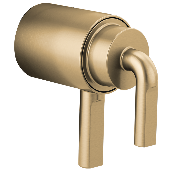TempAssure Thermostatic Valve Trim Notch Lever Handle Kit
