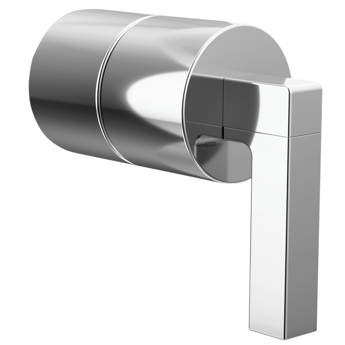 Pressure Balance Valve Lever Handle Kit