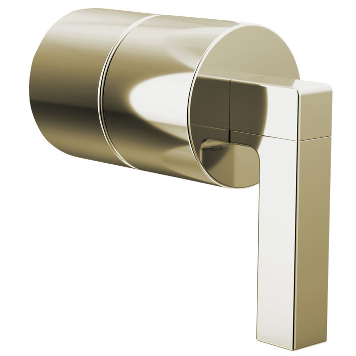 Pressure Balance Valve Lever Handle Kit