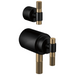 Brizo Litze HL7533 Tempassure Thermostatic Valve With Diverter Trim Handle Kit - T-Lever