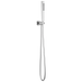 Brizo Levoir RP100439BNX Handshower