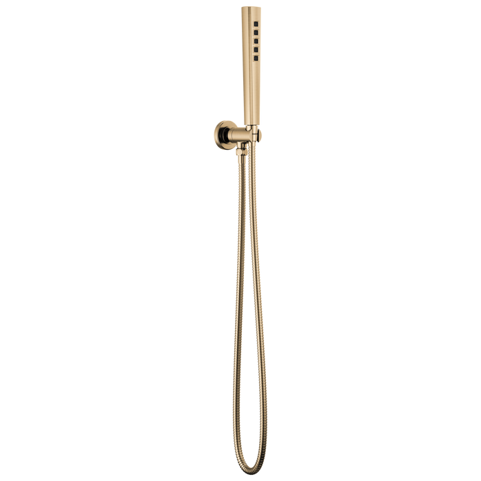 Brizo Levoir RP100439BNX Handshower