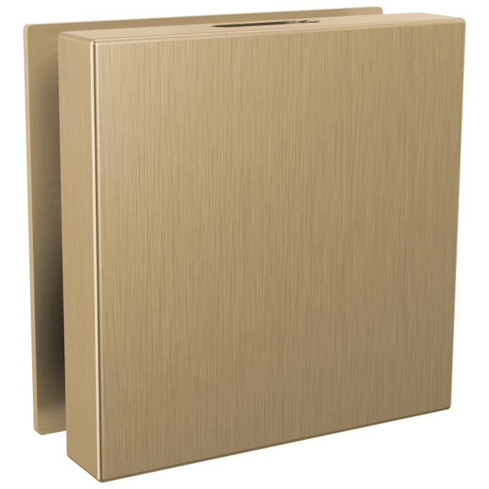 Brizo RP103312BL Mystix Square Steam Head