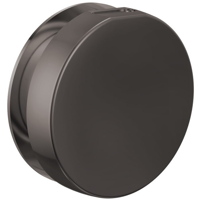 Brizo RP103313BL Mystix Round Steam Head