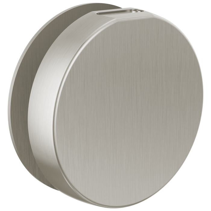 Brizo RP103313BL Mystix Round Steam Head