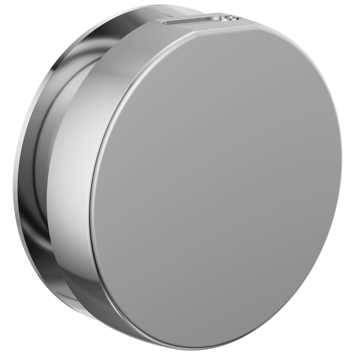 Brizo RP103313BL Mystix Round Steam Head