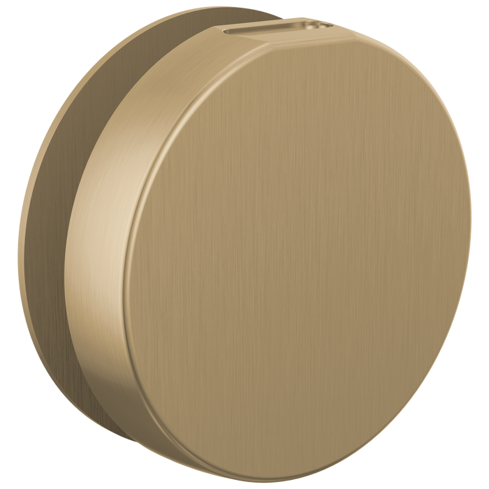 Brizo RP103313BL Mystix Round Steam Head