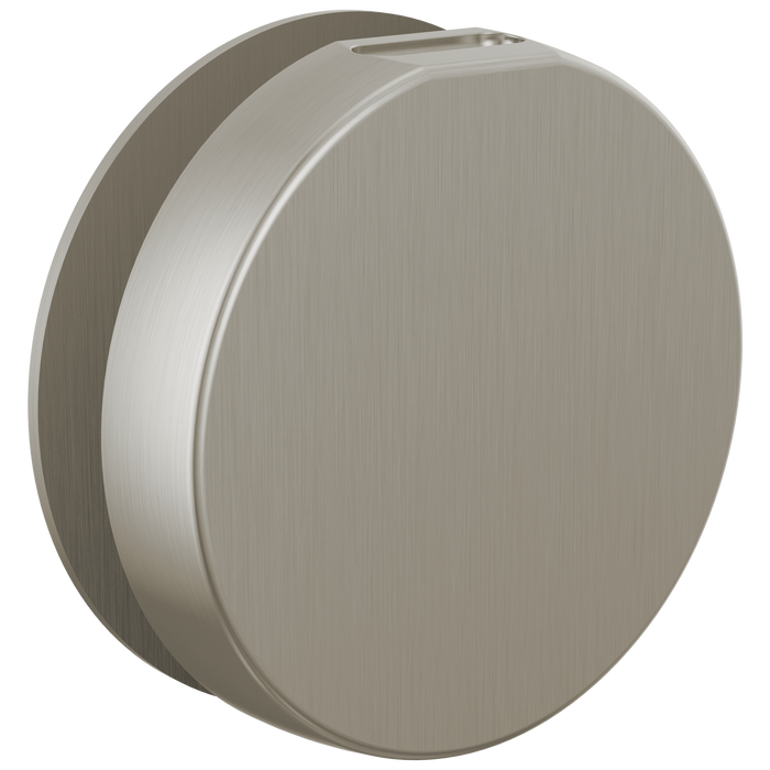 Brizo RP103313BL Mystix Round Steam Head