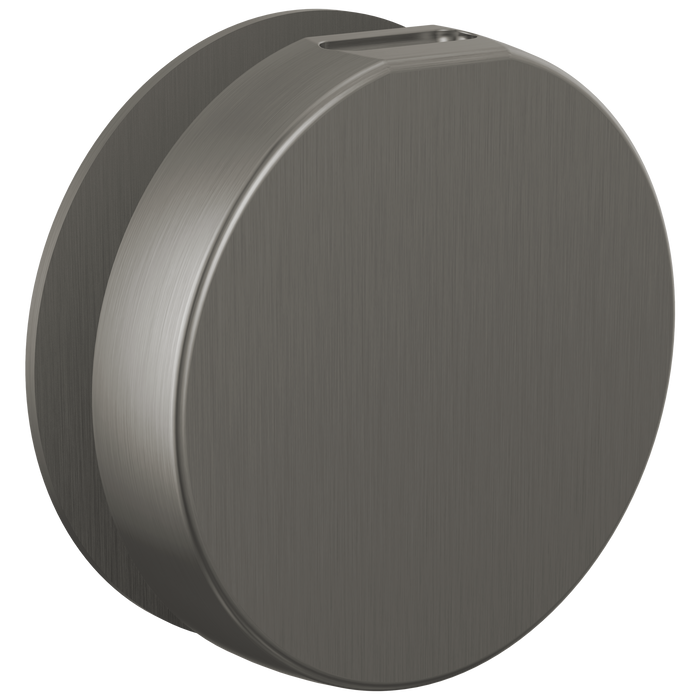Brizo RP103313BL Mystix Round Steam Head