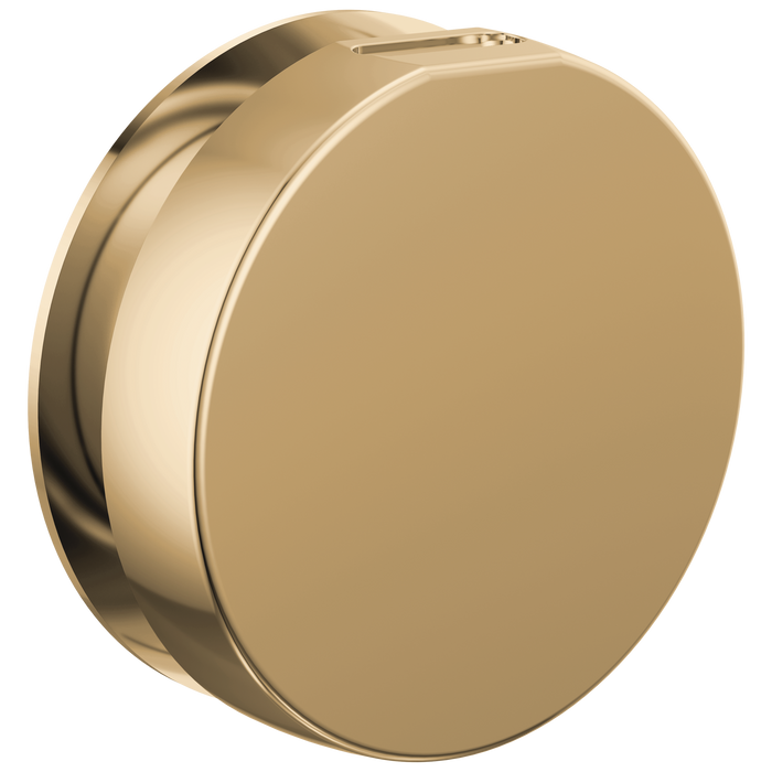 Brizo RP103313BL Mystix Round Steam Head