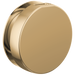 Brizo RP103313BL Mystix Round Steam Head