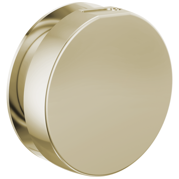 Brizo RP103313BL Mystix Round Steam Head